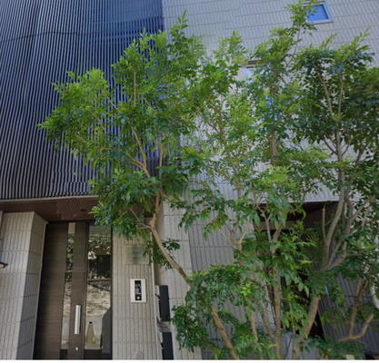 東京芸術大学 マンション 1LDK